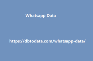 
Whatsapp Data